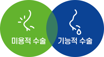 미용적 수술 / 기능적 수술